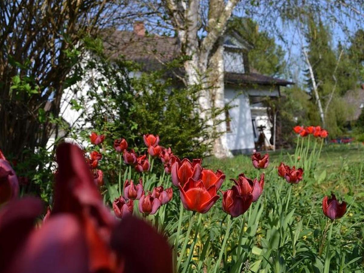 Ferienwohnung Seeliebe Radolfzell am Bodensee Kültér fotó